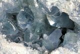 Sky Blue Celestine (Celestite) Geode - (Large Crystals) #156502-1